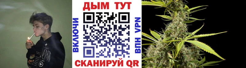 Шишки марихуана THC 21%  Купить  Эртиль 